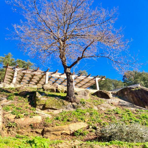 Paiva Valley Alvarenga Eksteriør bilde